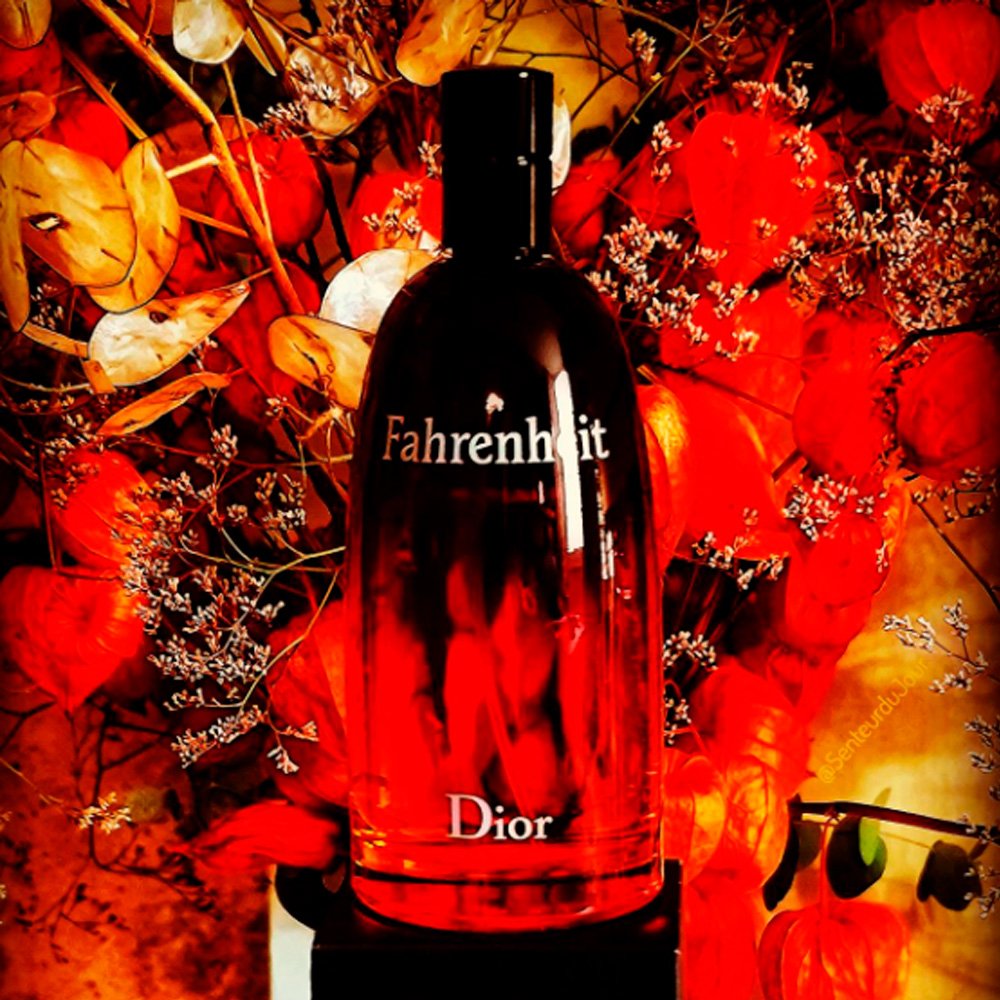 Perfume Dior Fahrenheit Tradicional Edt 100 ml Para Hombre - Imagen 7