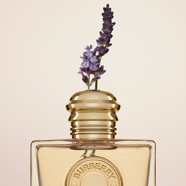 Burberry Goddess Edp For Woman 100ml Perfume Mujer - Imagen 5