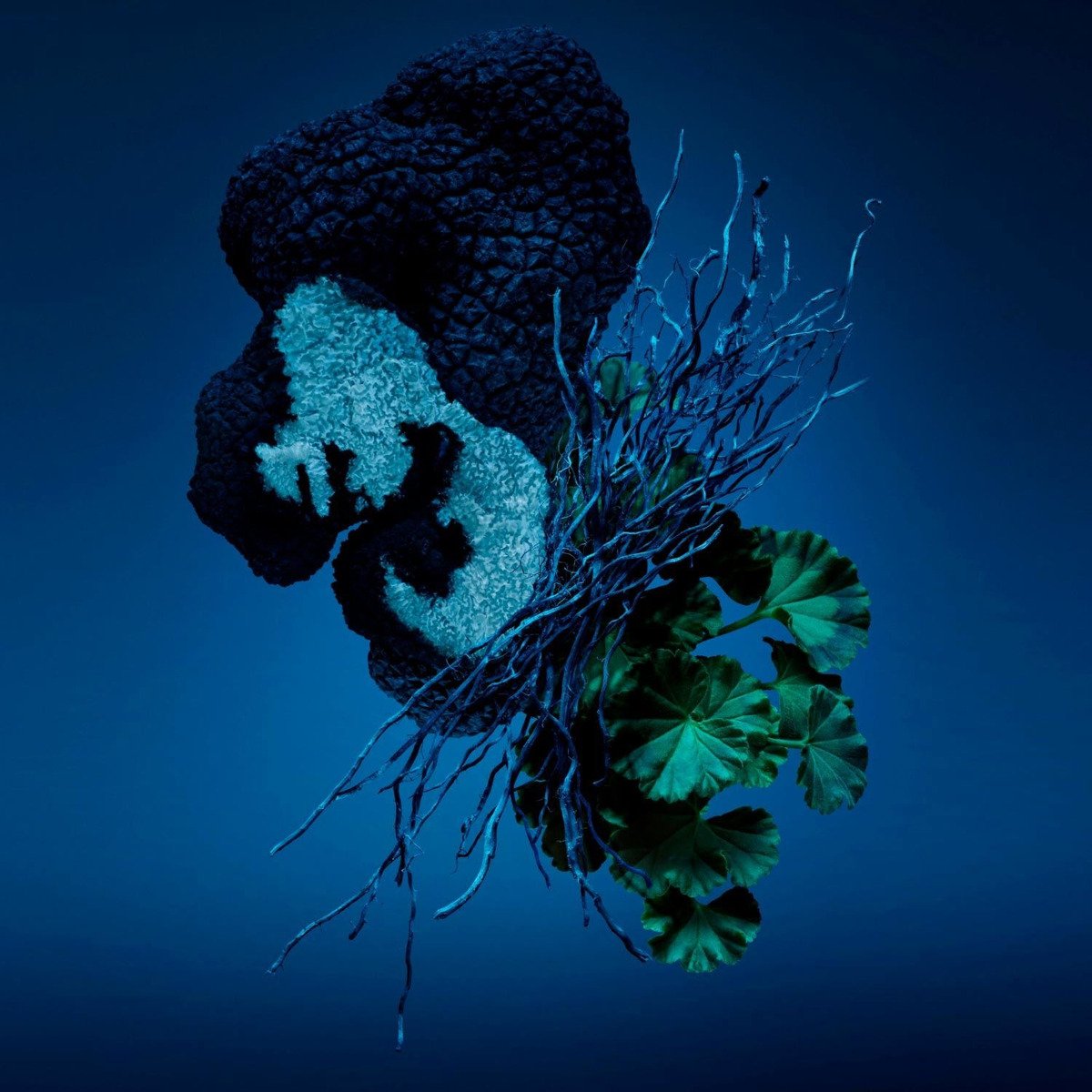 Perfume Carolina Herrera Bad Boy Cobalt Eau De Parfum Électrique Masculino Concentree Edp 100ml Para Hombre - Imagen 4