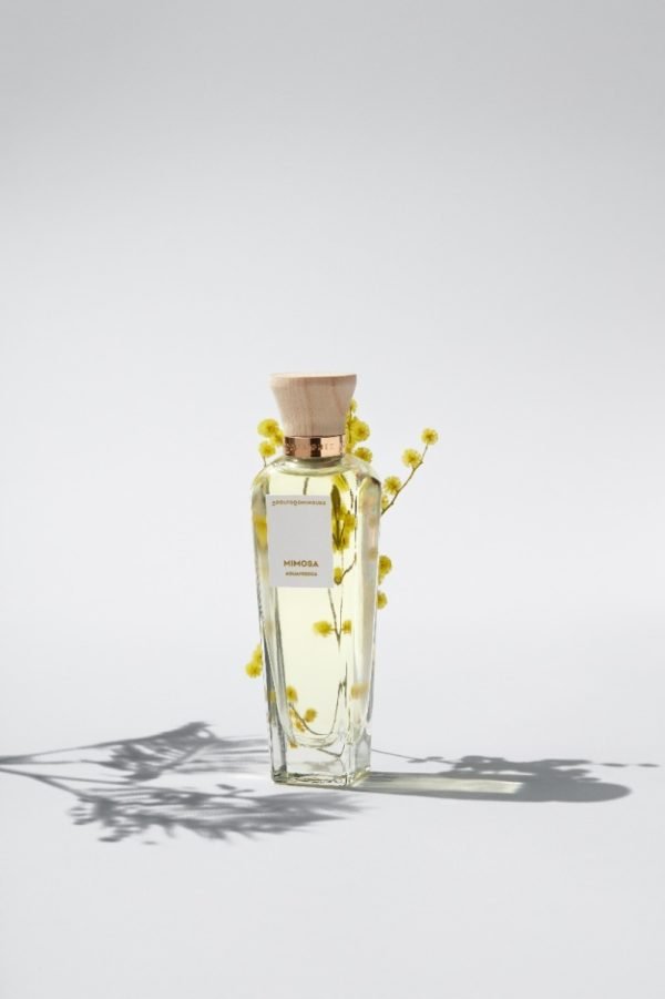 Perfume Adolfo Dominguez Mimosa Para Mujer 120ml - Imagen 2