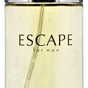 Perfume Calvin Klein Escape For Men 100 Ml