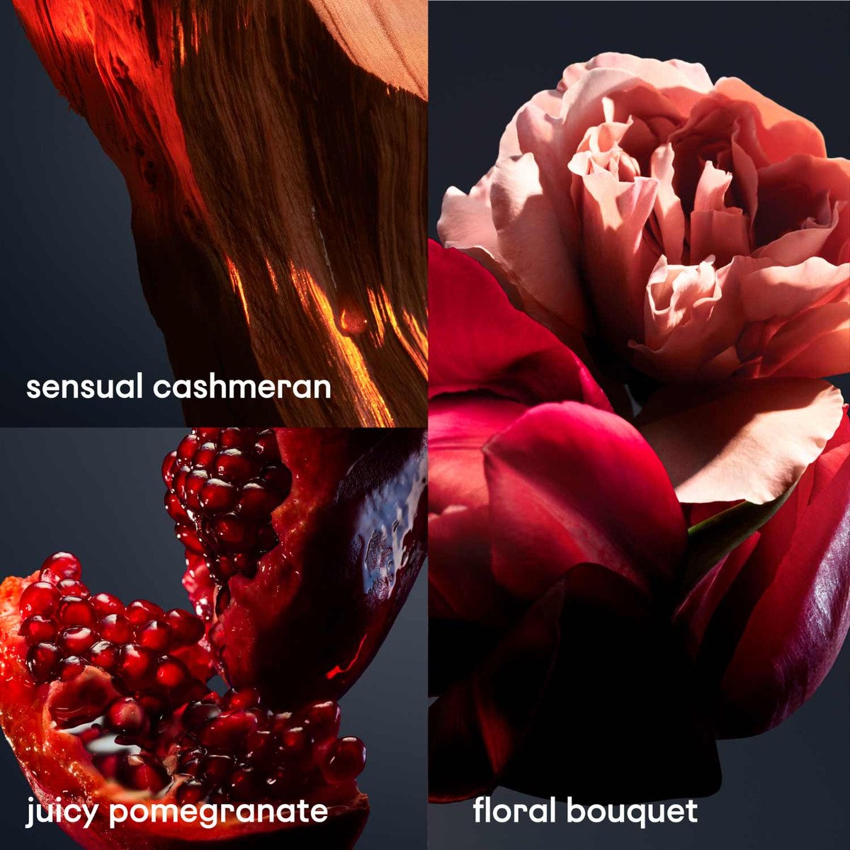 Perfume Mujer Rabanne Lady Million Royal Edp 80 Ml - Imagen 6