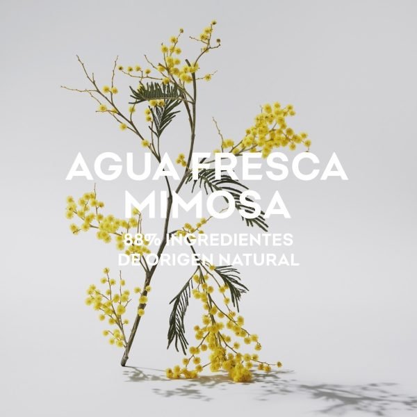Perfume Adolfo Dominguez Mimosa Para Mujer 120ml - Imagen 3