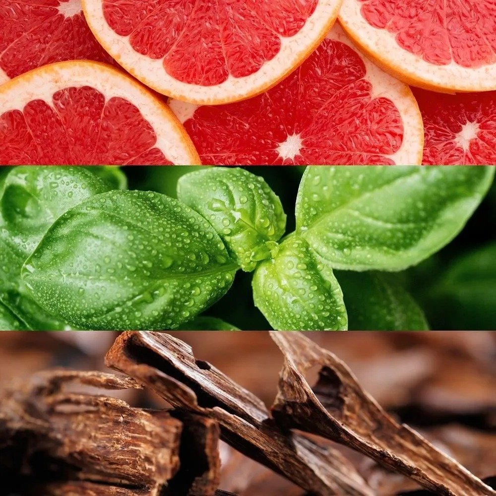 Lacoste Booster Edt 125 Ml. (versión 2022) - Imagen 4