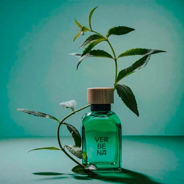 Adolfo Dominguez Verbena Men Edt Edición Limitada 120 Ml - Imagen 8