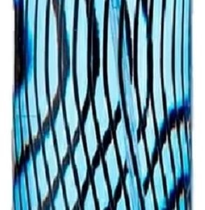 Paris Hilton For Men Edt 100ml Para Hombre