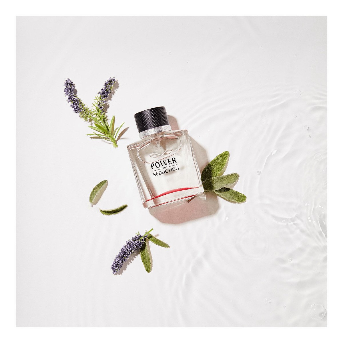 Perfume Hombre Power Of Sed Edt 200ml Banderas - Imagen 5