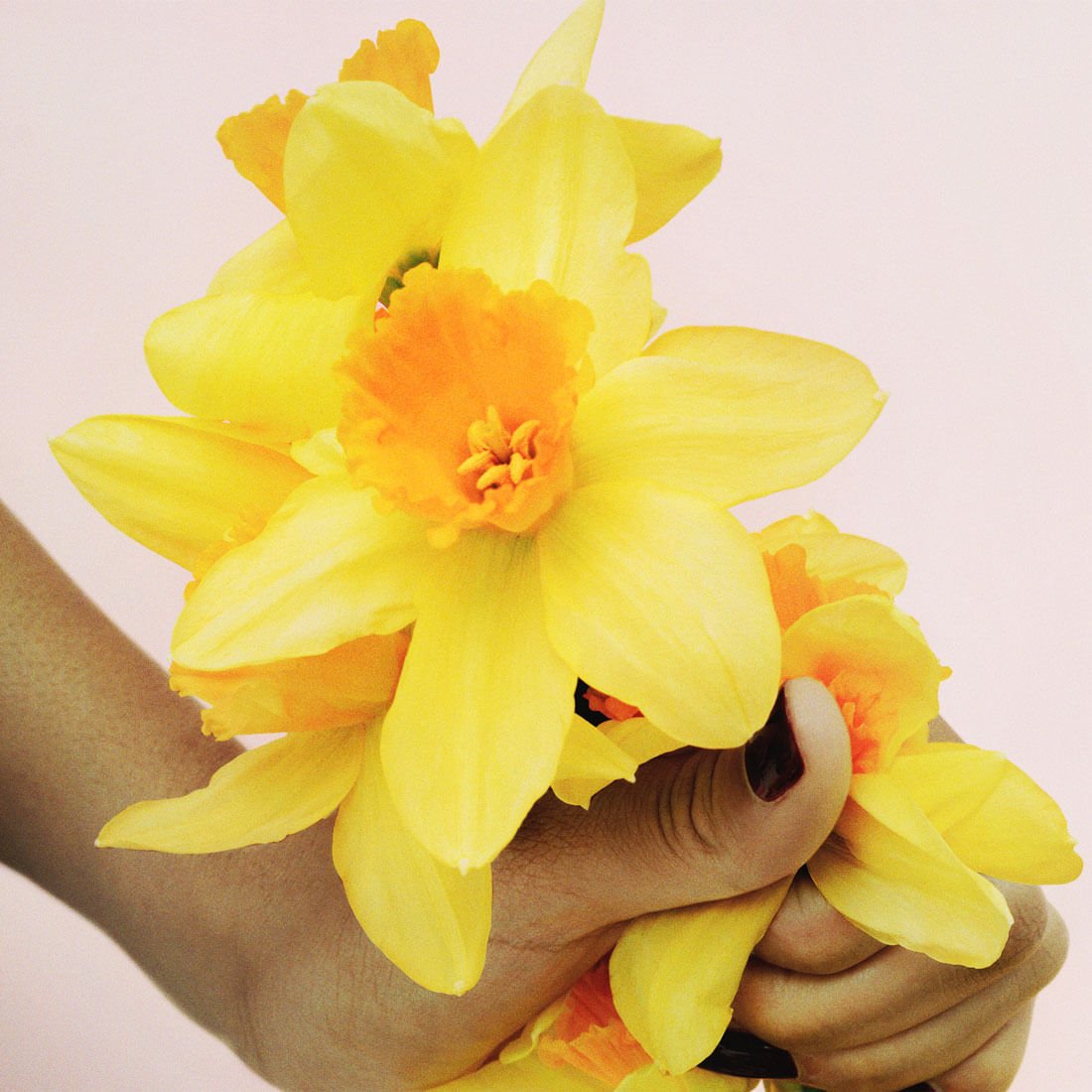 Perfume Marc Jacobs Perfect Edp 100 Ml Para Mujer - Imagen 5